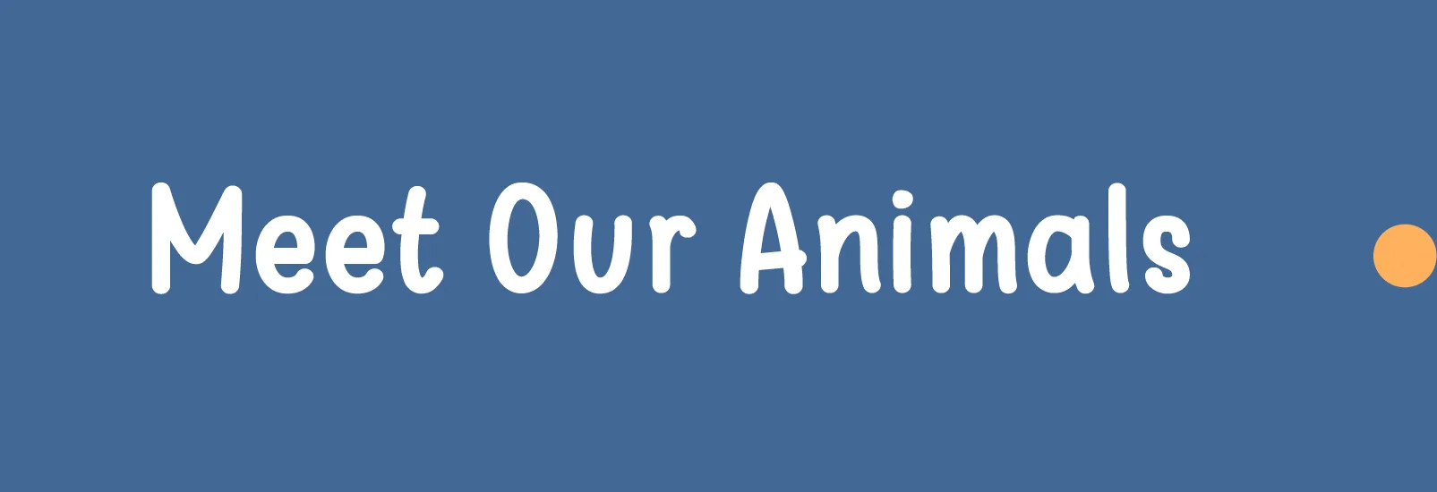 Meet-Our-Animals-18